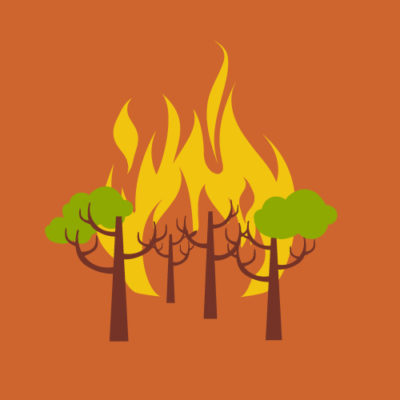 Illustration of a forest fire