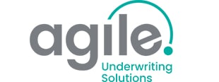 Agile logo